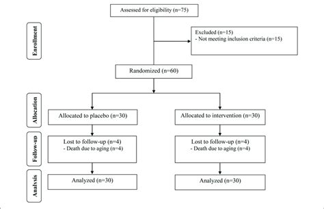 Image result for Powerflow Patient Guide