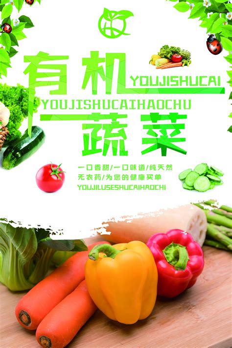 有机蔬菜海报背景宣传|平面|海报|Z17065015 - 原创作品 - 站酷 (ZCOOL)
