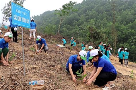 Image result for Pro-Humane Tree-Planting Project
