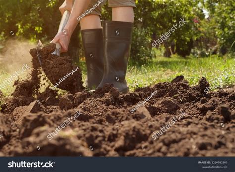 Digging 的图像结果