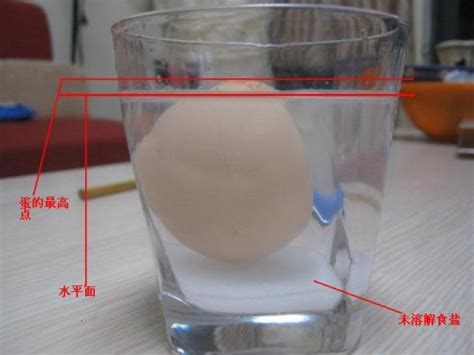 盐水浮鸡蛋的步骤怎么做 原理解析如下 - 神奇评测