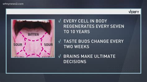 VERIFY: Do Taste Buds Change Every Seven Years? | wfmynews2.com