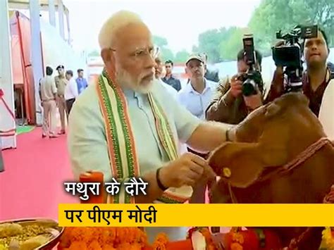 PM Narendra Modi To Launch National Animal Disease Control Prog In Mathura