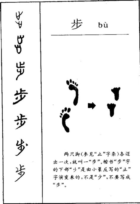 从古至今汉字演变500例(5) - 知乎
