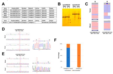 Dual Deep Sequencing Improves the Accuracy of Low-Frequency Somatic ...