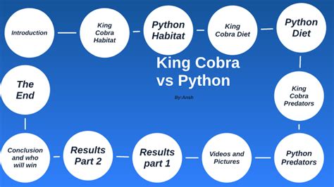 Image result for Konigskobra vs Python