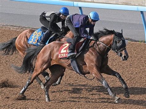 Hashiguchi stable rides hot streak into G1 Victoria Mile with Beyond ...