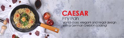 Buy Wonderchef Caesar Non-Stick Fry Pan, Induction Bottom, Wooden ...