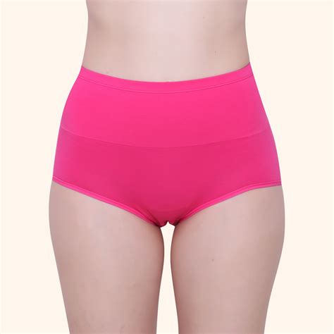High Waist Full Coverage Brief Panty – Glamoras