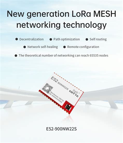 Buy Ebyte E52-900NW22S LoRa 868MHz 22dBm Wireless Serial Port LoRa MESH ...