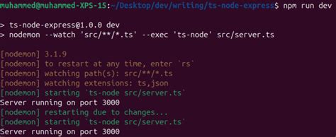 Express TypeScript API 的图像结果