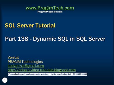 SQL Server Dynamic SQL 的图像结果