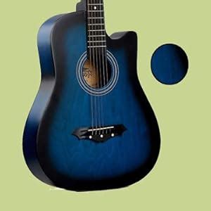 Intern INT-38C Acoustic Guitar Kit (Blue) : Amazon.in