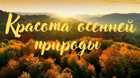 Осень. Красота осенней природы. Нежная романтическая музыка. - YouTube