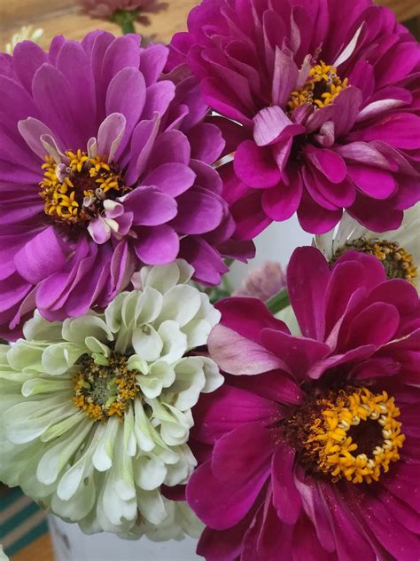 Davis Wholesale Florist