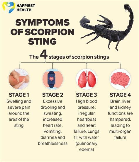 What to do when a scorpion stings - Happiest Health