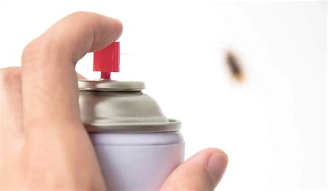 How to Kill Cockroach 的图像结果