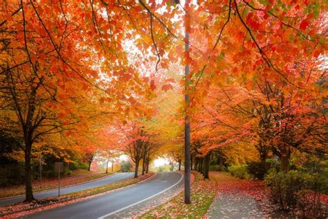 Image result for Autumn Homework EYFS