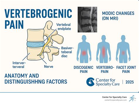 Vertebrogenic low back pain: 2025 Solutions