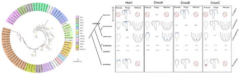 Ecology and Evolutionary Biology