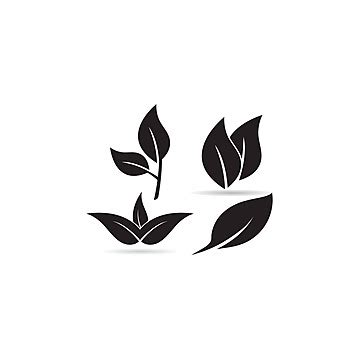 Image result for Spring Leaf Logo Java