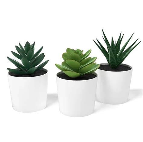 Buy PAPERI Artificial Succulent Plants for Home Décor – Set of 3 Faux ...