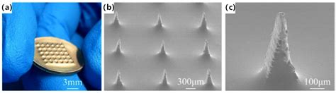 Dry Electrodes for Human Bioelectrical Signal Monitoring