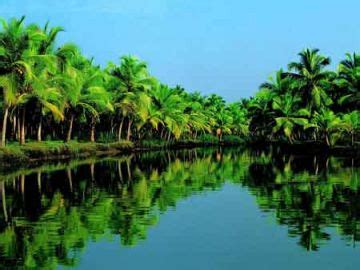 Experience Cochin To Munnar 140 Km In Approximately 45 Hours Tour ...
