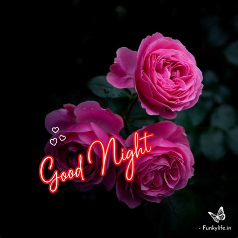 Collection 105+ Pictures Good Night Flowers For Lovers Stunning
