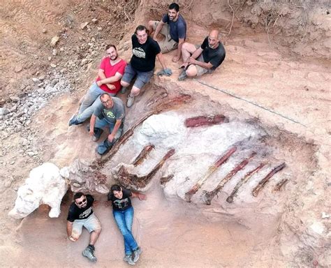 Un immense squelette de dinosaure découvert au Portugal