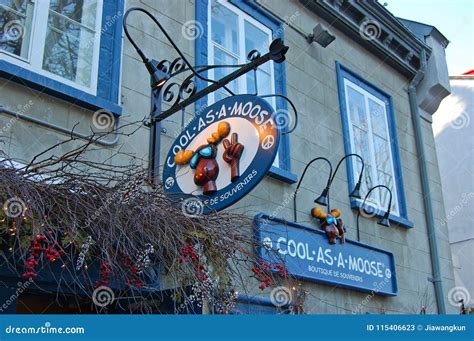 Cool As a Moose, Quebec City, Canada Editorial Stock Photo - Image of ...