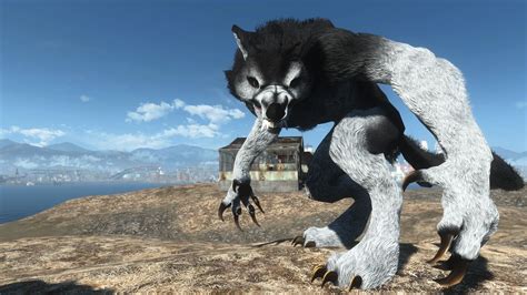 Image result for Werewolf Mod Minecraft SMP