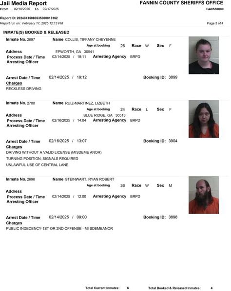 Fannin County Sheriff's Office Arrest Report 2/10 - 2/17/2025 ...
