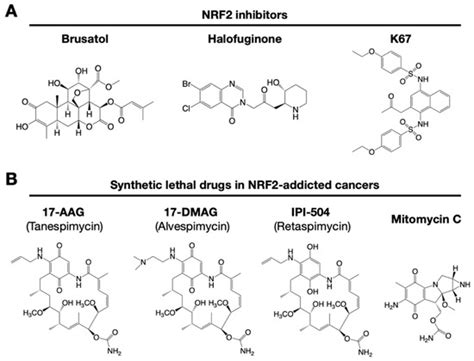 The KEAP1–NRF2 System | Encyclopedia MDPI