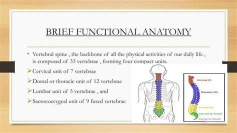 Image result for Spinal Stabilization Recovery