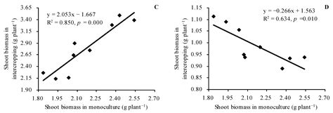 Intercropping of Cyphomandra betacea with Different Ploidies of Solanum ...