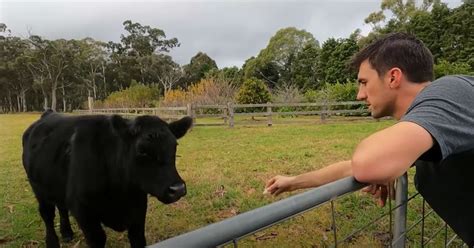 [Watch] Pat Cummins visits childhood home, spends time with animals at ...