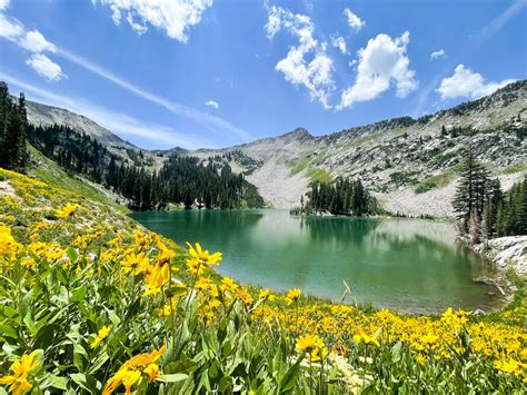 Hiking Red Pine Lake in Utah: Tips, Highlights, and More - Earth to Kat