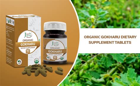 Just Jaivik Organic Gokharu/Tribulus Terrestris/Gokshura/Tablets As ...