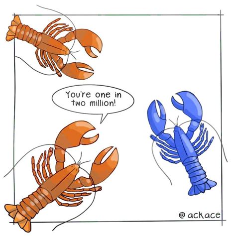 50 Shades of Lobster Red: What Color are Lobsters, Really?