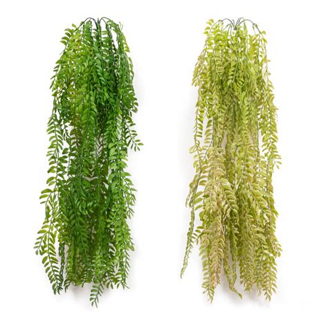 Artificial Creepers – ChhajedGarden.com