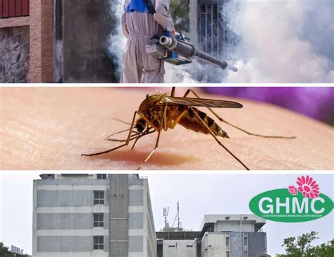 GHMC fogging diesel diversion case