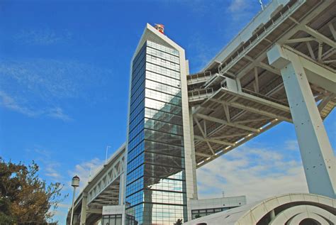 Identity Column SQL Server 的图像结果