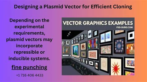 Cloning Vector Examples 的图像结果