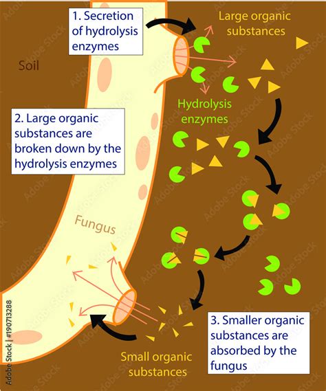 Image result for Cool Simple Science Experiments