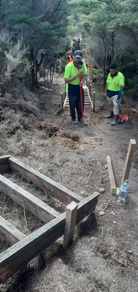 track works 的图像结果