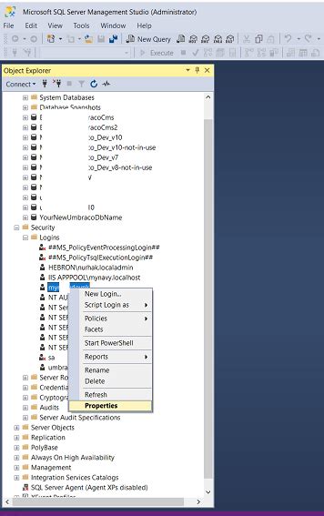 Image result for Visual Studio Blend Polygon