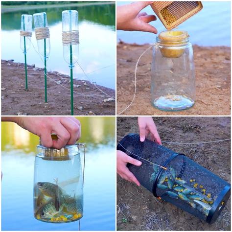 Image result for Catch Fish Methods