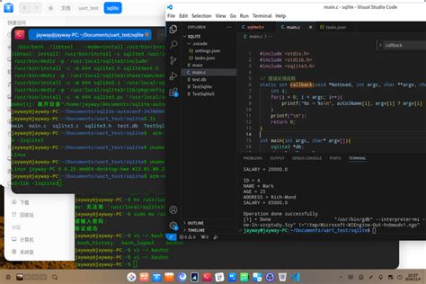 SQLite C Tutorial 的图像结果