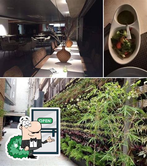 White Plate, Bengaluru - Restaurant menu, prices and reviews
